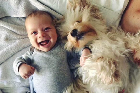 f3b4b61b568e0de2f1c5e6560178c8d8_XL Svg%3E